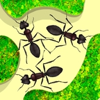蚁群模拟器最新版2024